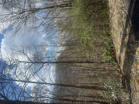 Lot 3 Ridgemont Drive