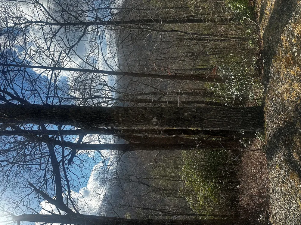 Lot 3 Ridgemont Drive Glenville, NC 28736