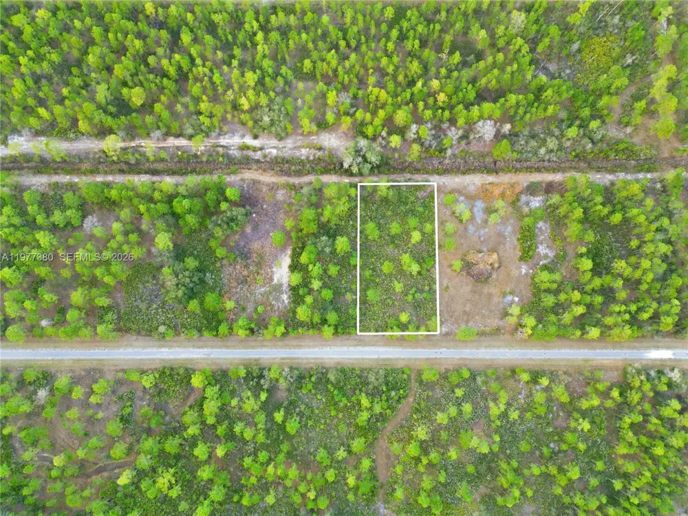 310 TROPICANA DR Lake Wales, FL 33855