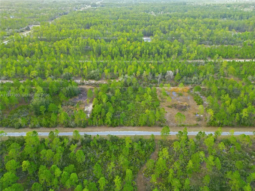 310 TROPICANA DR Lake Wales, FL 33855