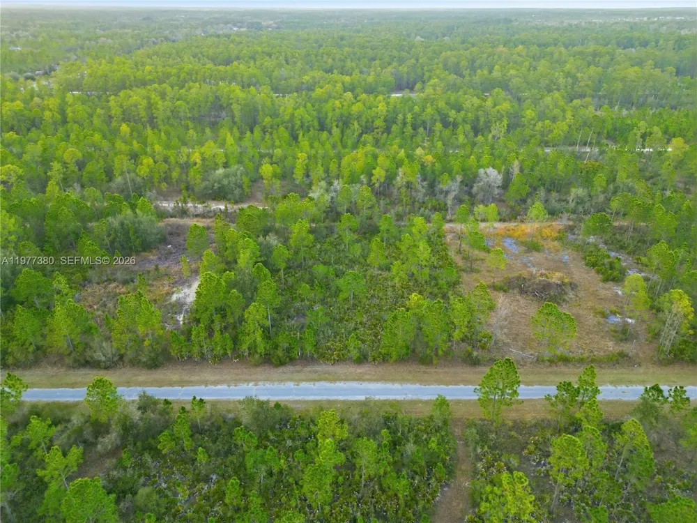 310 TROPICANA DR Lake Wales, FL 33855