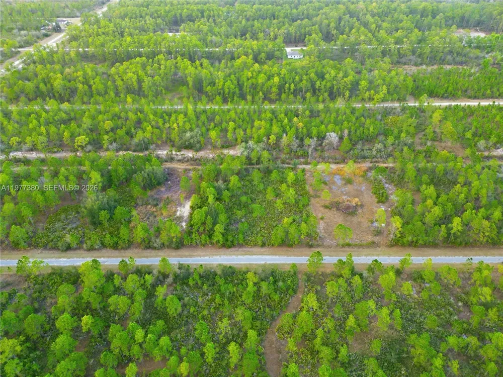 310 TROPICANA DR Lake Wales, FL 33855