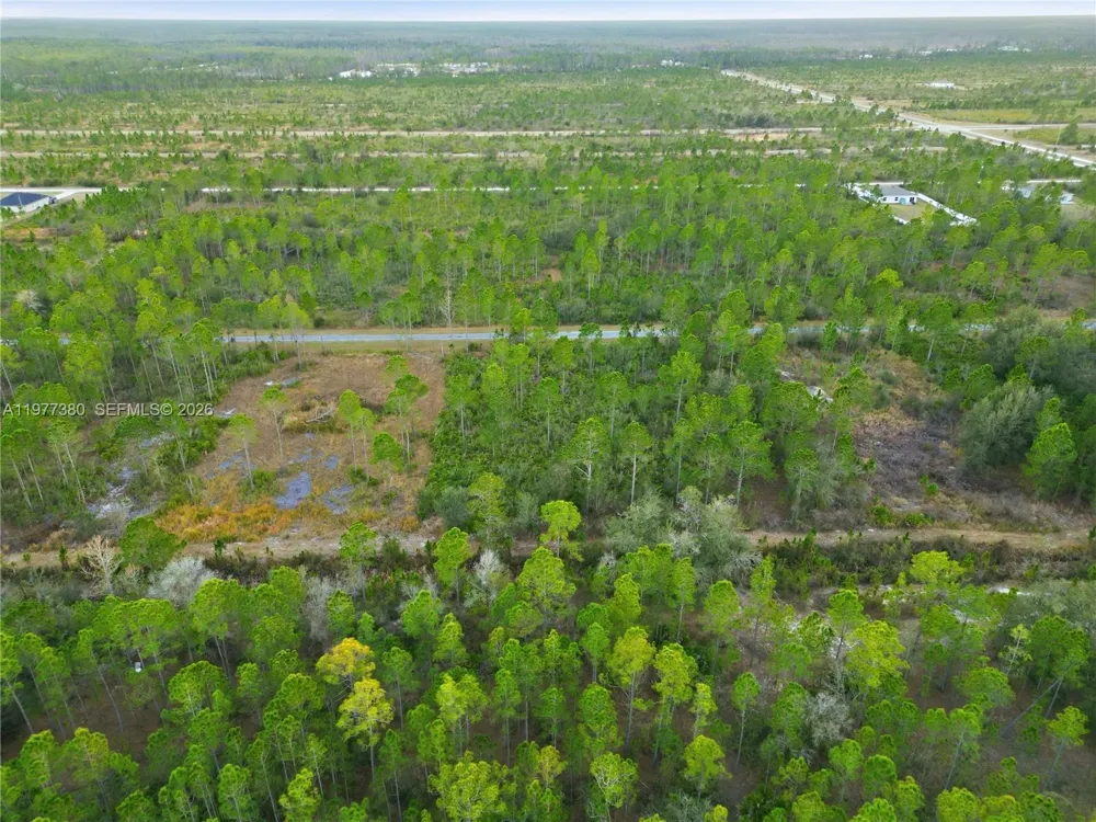 310 TROPICANA DR Lake Wales, FL 33855