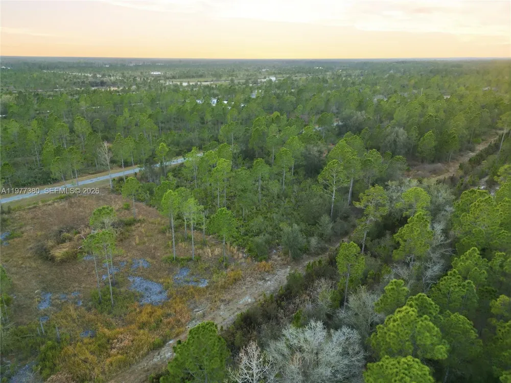 310 TROPICANA DR Lake Wales, FL 33855