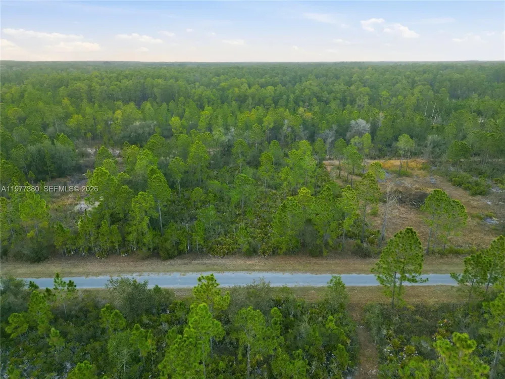 310 TROPICANA DR Lake Wales, FL 33855