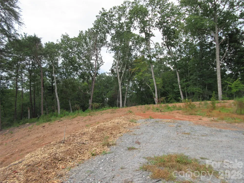 0 Levi Road Columbus, NC 28722