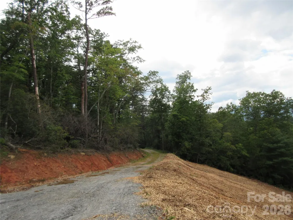 0 Levi Road Columbus, NC 28722