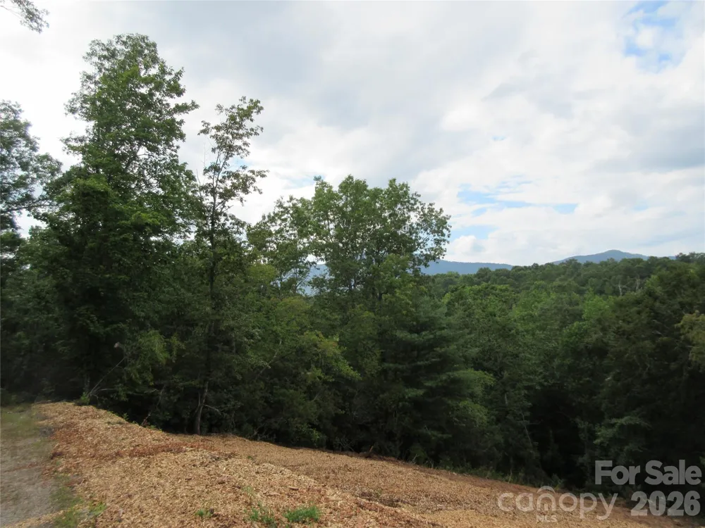 0 Levi Road Columbus, NC 28722