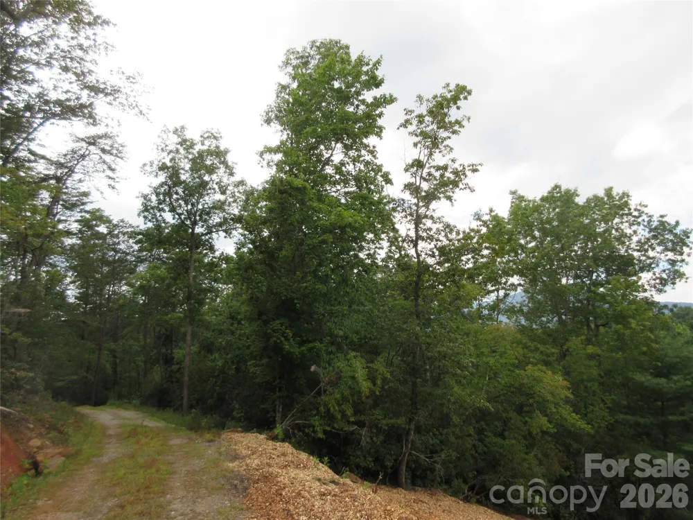 0 Levi Road Columbus, NC 28722