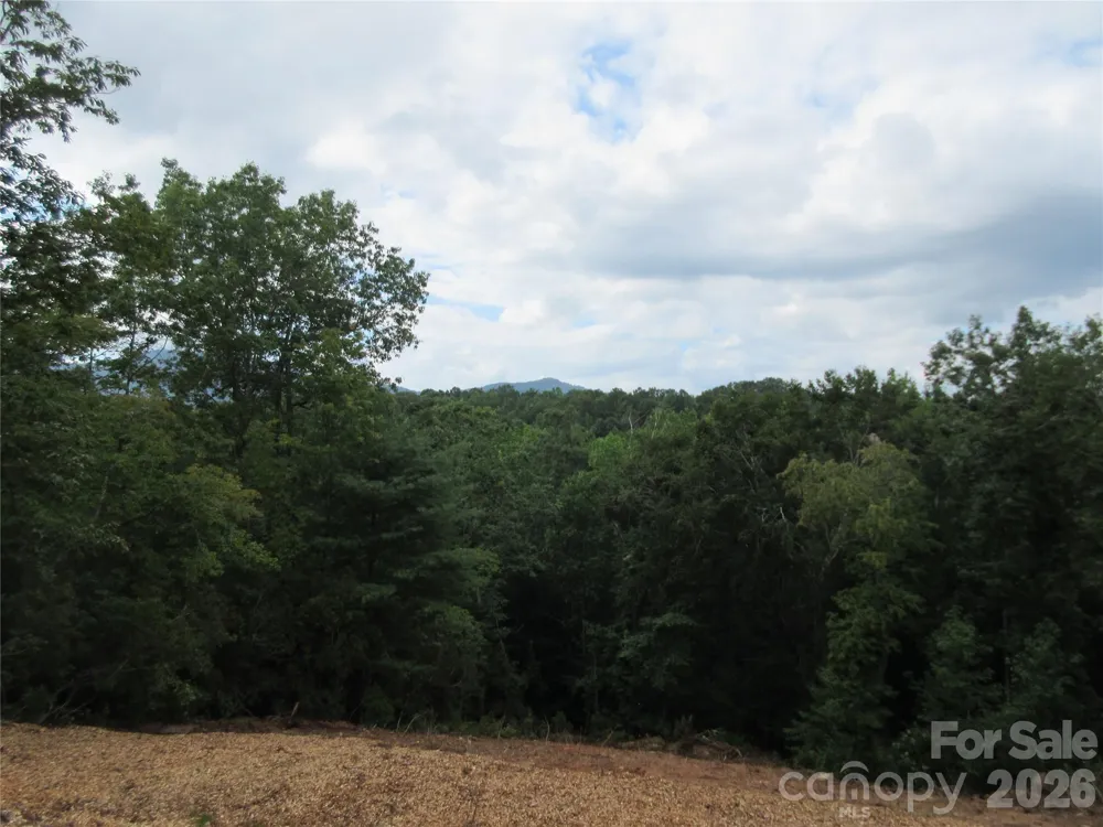 0 Levi Road Columbus, NC 28722