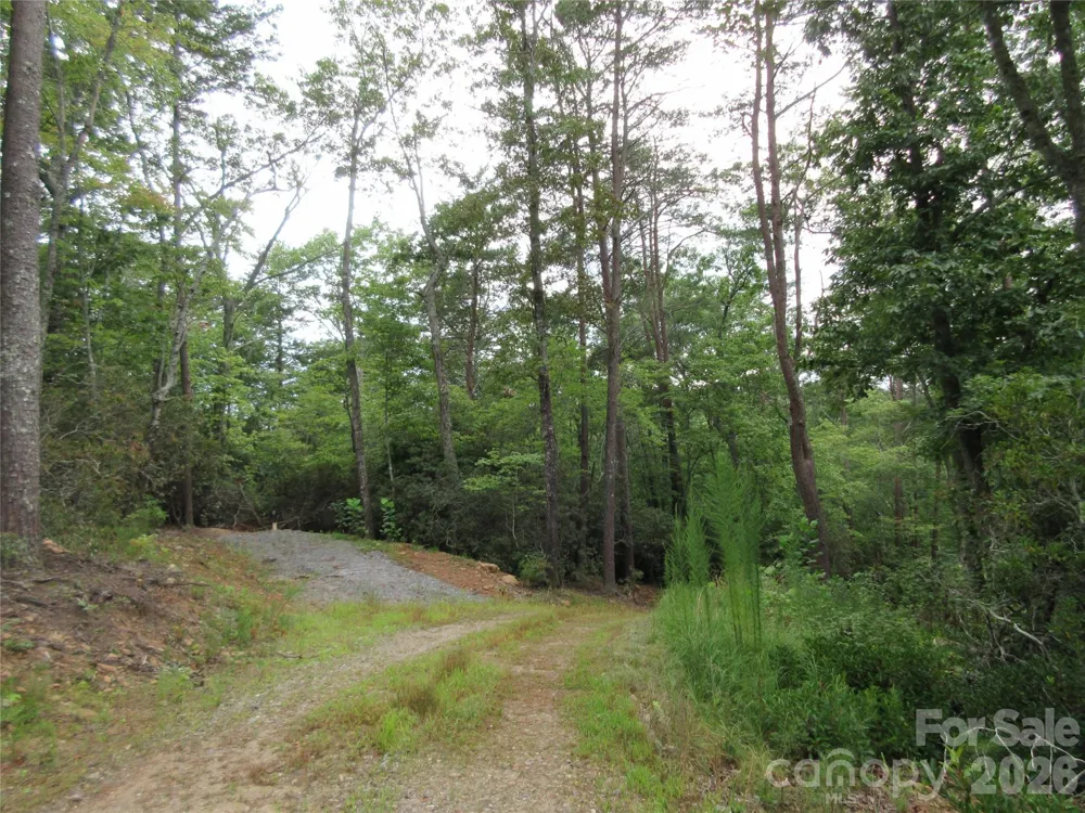 0 Levi Road Columbus, NC 28722