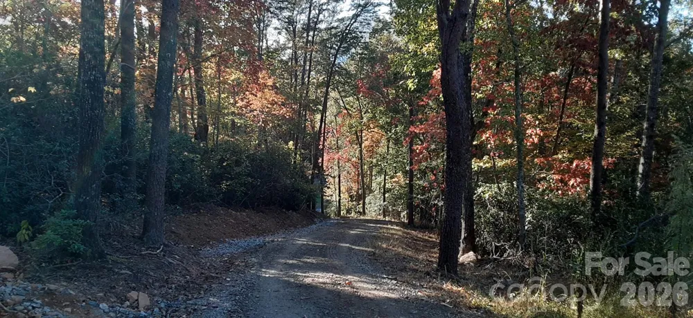 0 Levi Road Columbus, NC 28722