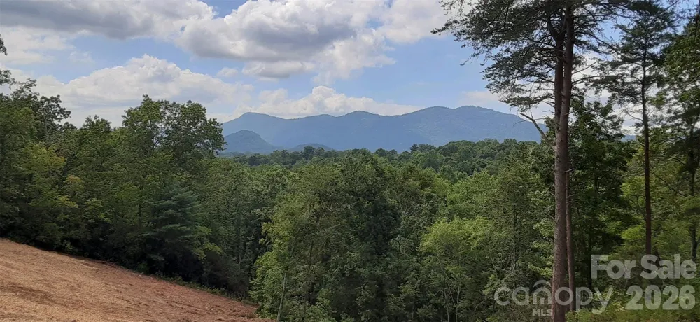 0 Levi Road Columbus, NC 28722