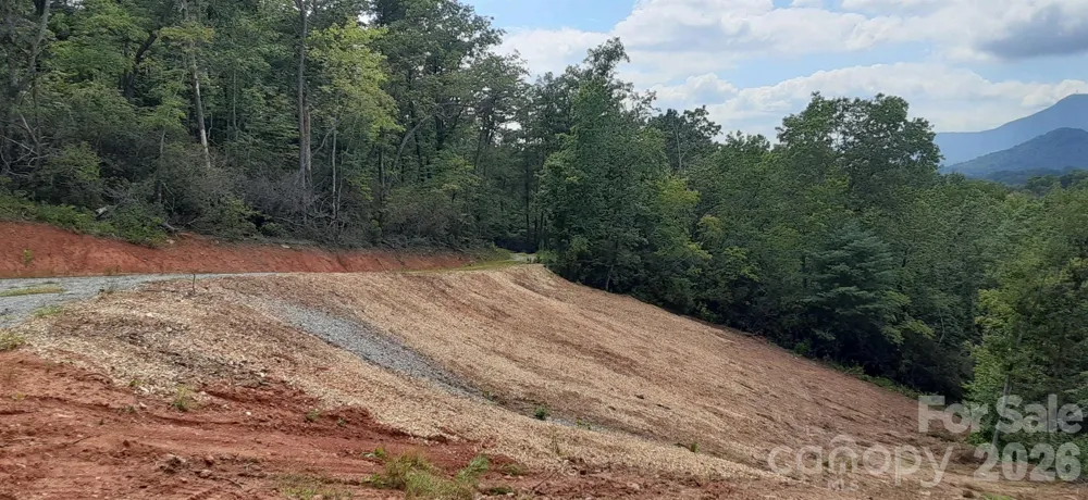0 Levi Road Columbus, NC 28722