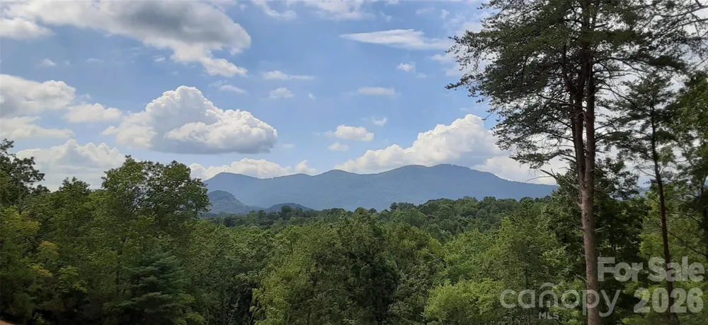 0 Levi Road Columbus, NC 28722