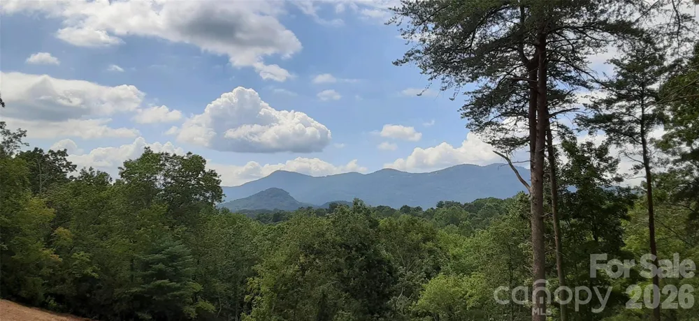 0 Levi Road Columbus, NC 28722