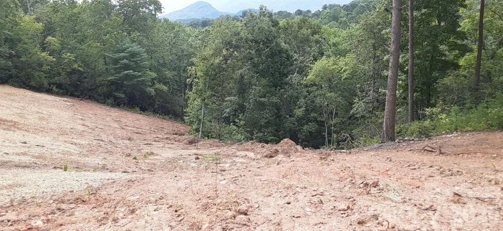 0 Levi Road Columbus, NC 28722