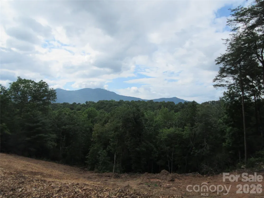 0 Levi Road Columbus, NC 28722