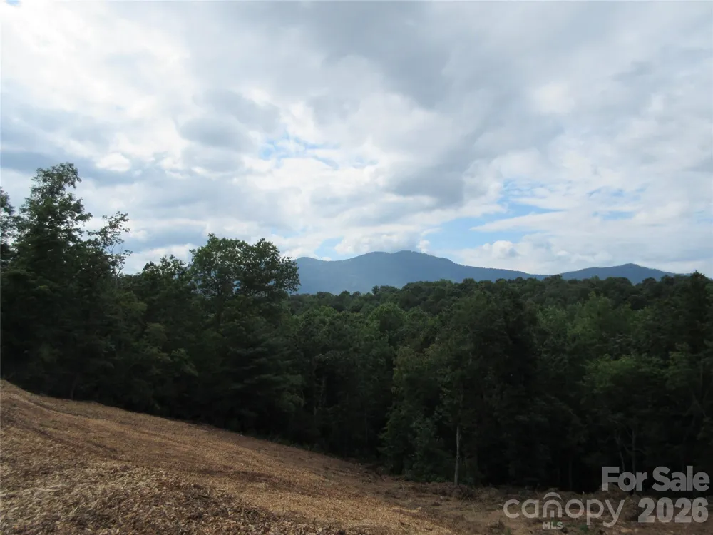 0 Levi Road Columbus, NC 28722