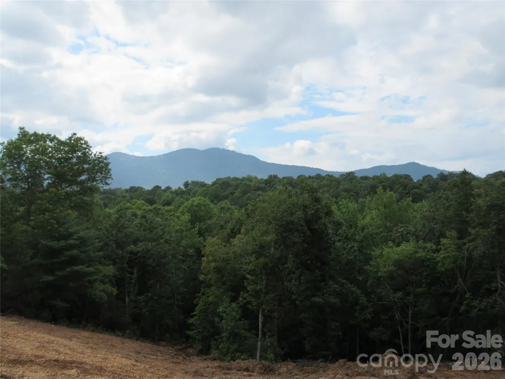 0 Levi Road Columbus, NC 28722
