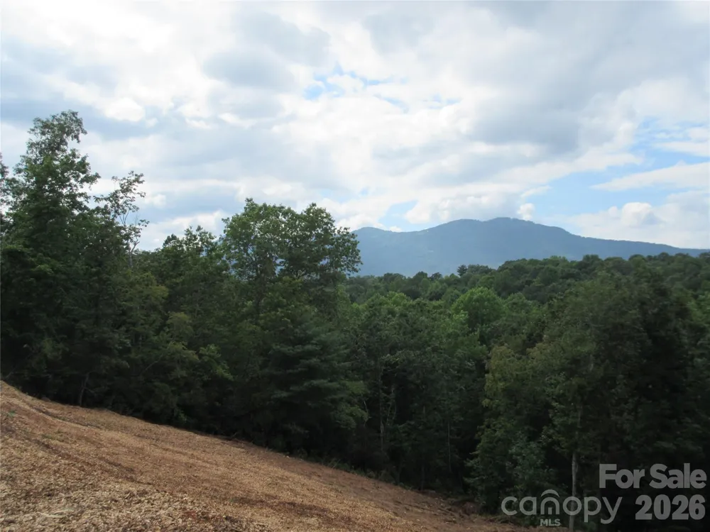 0 Levi Road Columbus, NC 28722