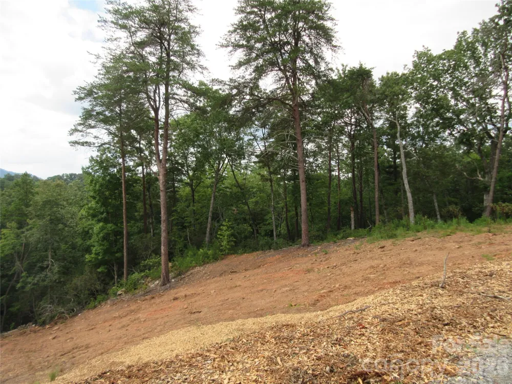 0 Levi Road Columbus, NC 28722