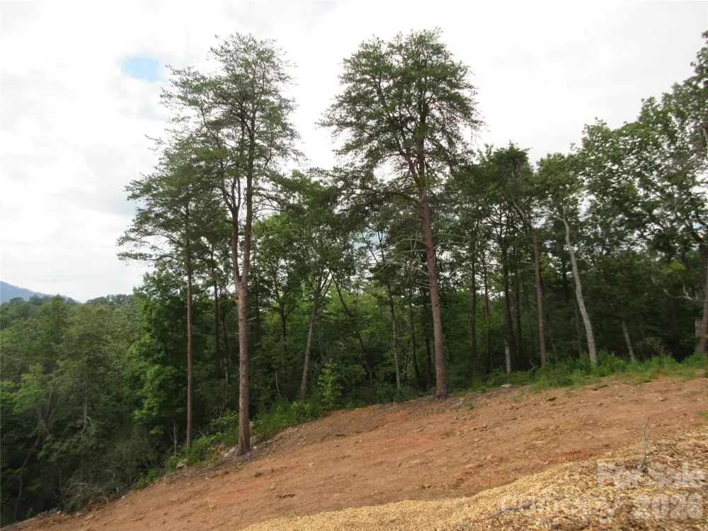 0 Levi Road Columbus, NC 28722