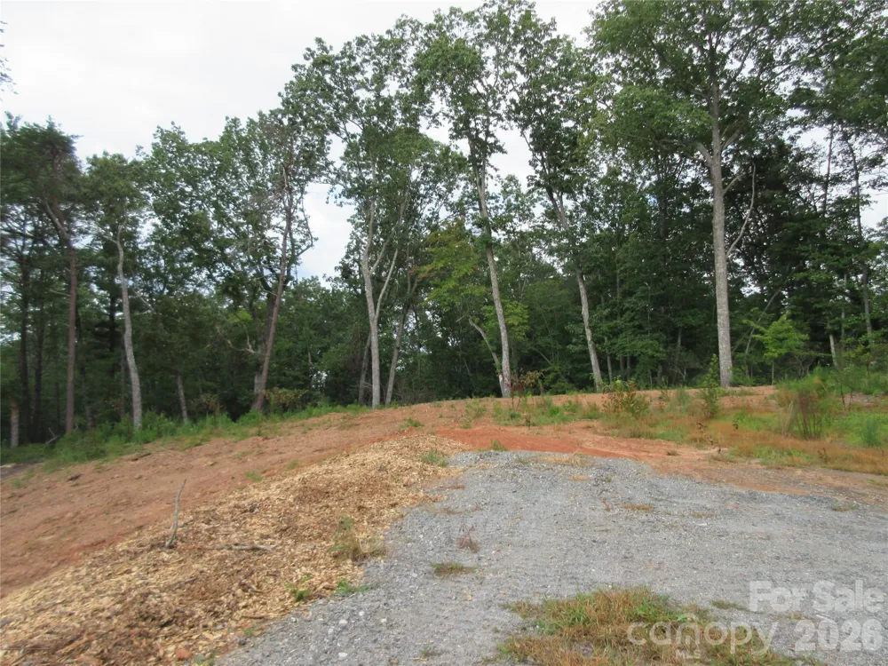 0 Levi Road Columbus, NC 28722