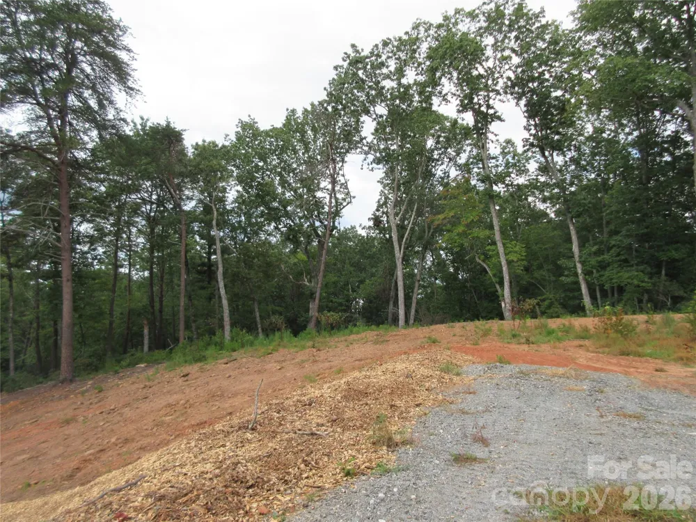 0 Levi Road Columbus, NC 28722