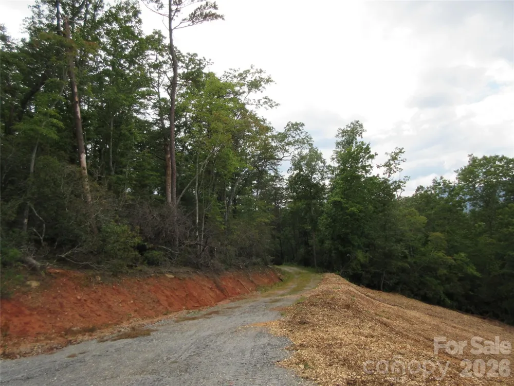 0 Levi Road Columbus, NC 28722