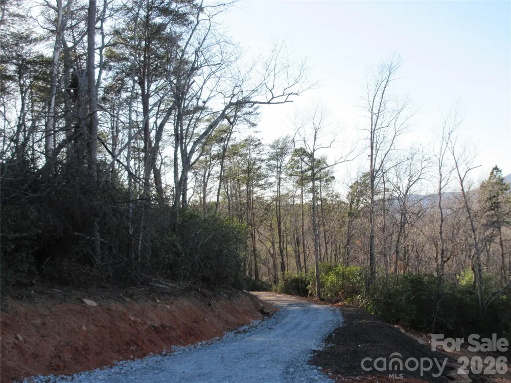 0 Levi Road Columbus, NC 28722