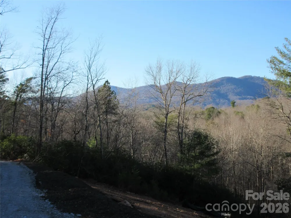 0 Levi Road Columbus, NC 28722