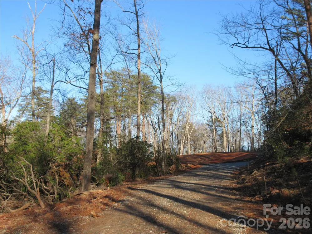 0 Levi Road Columbus, NC 28722