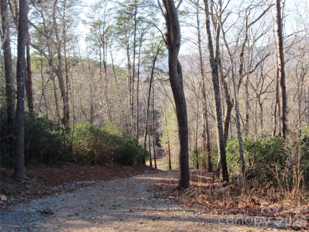 0 Levi Road Columbus, NC 28722