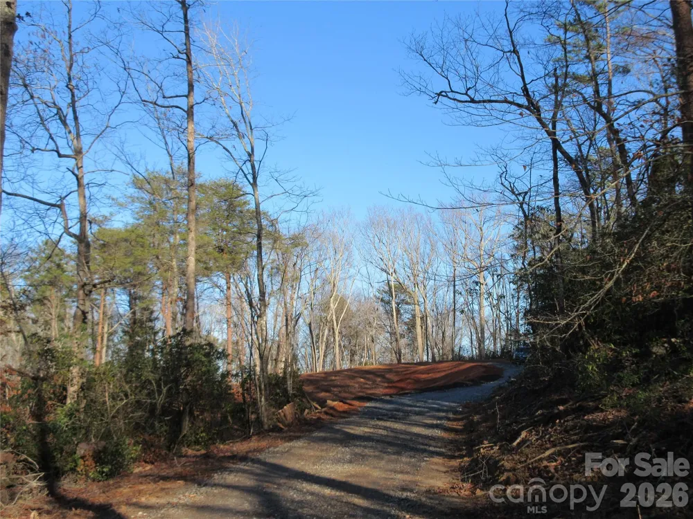 0 Levi Road Columbus, NC 28722