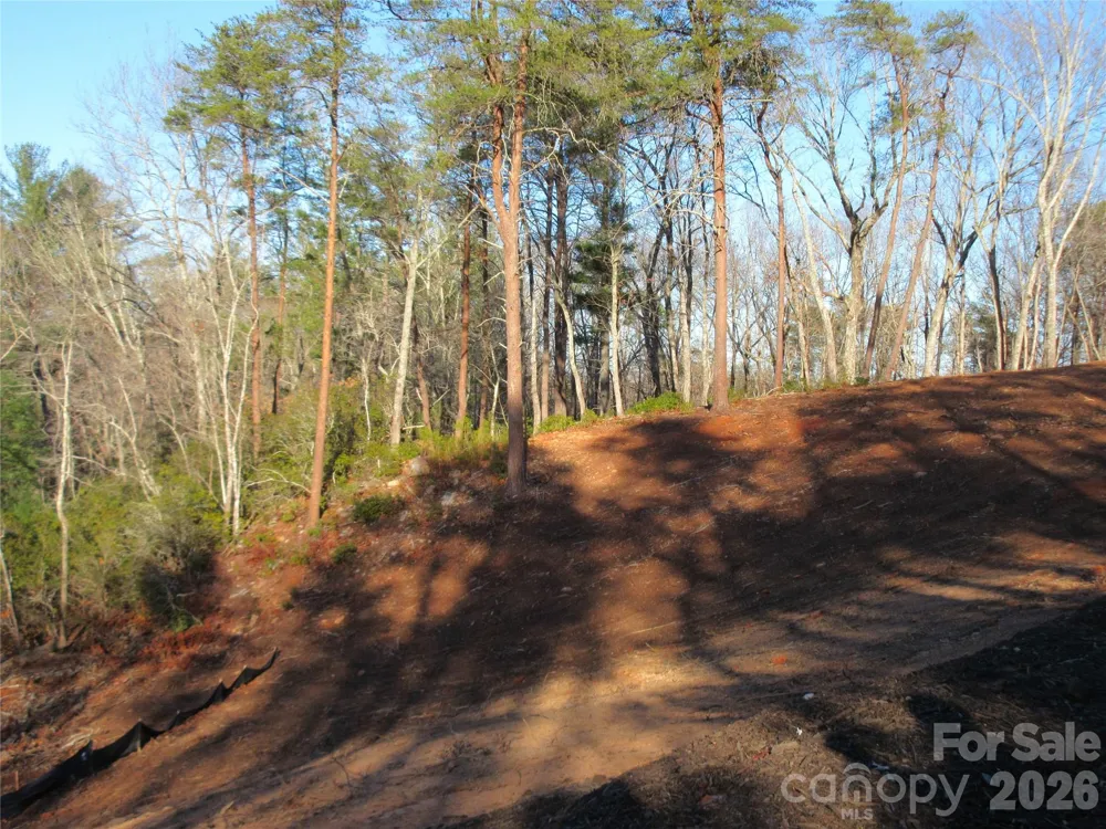 0 Levi Road Columbus, NC 28722