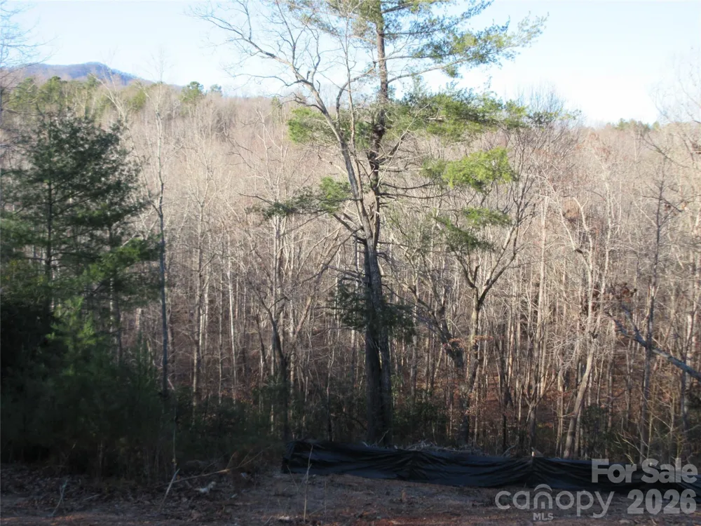 0 Levi Road Columbus, NC 28722