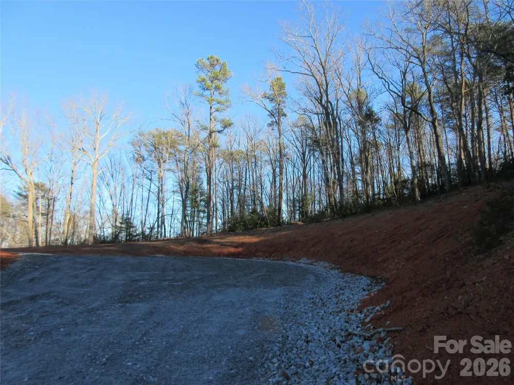 0 Levi Road Columbus, NC 28722
