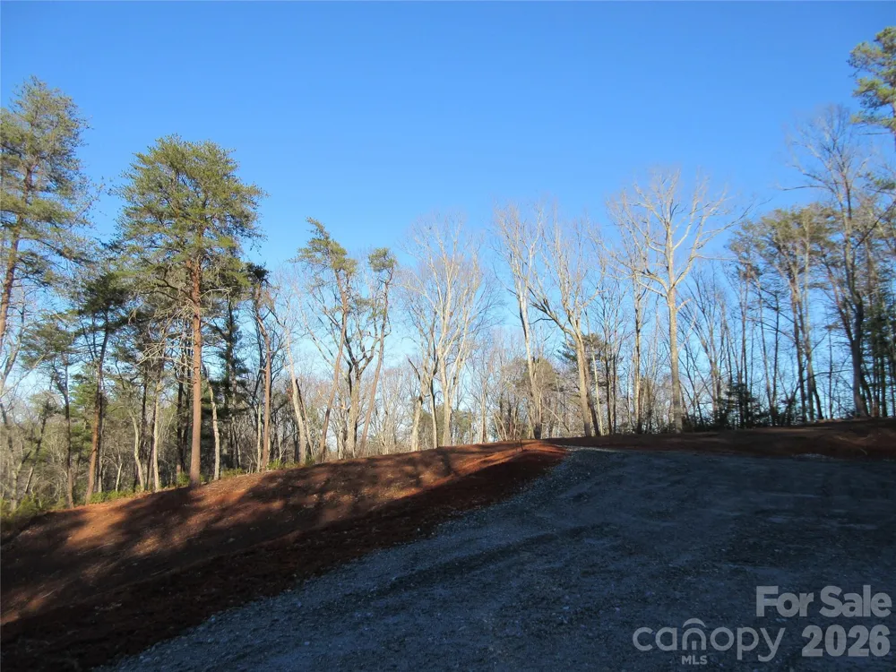 0 Levi Road Columbus, NC 28722