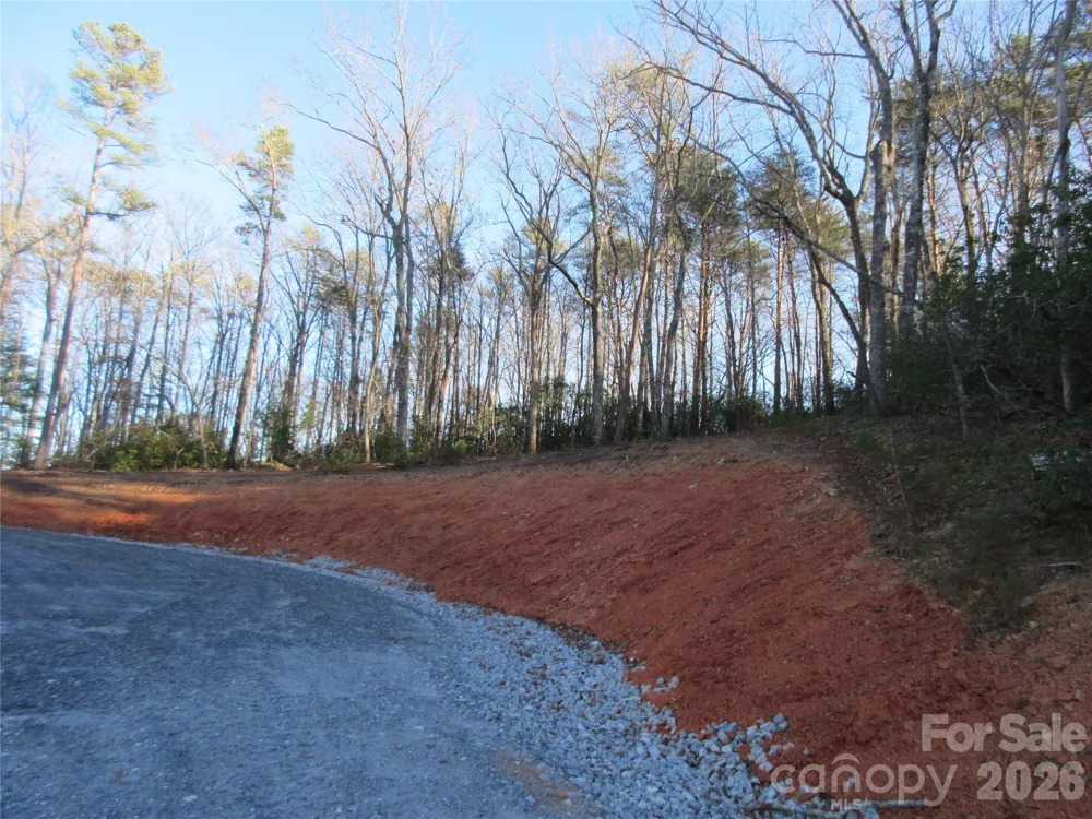 0 Levi Road Columbus, NC 28722