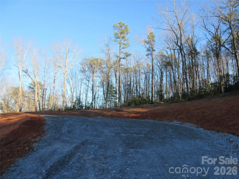 0 Levi Road Columbus, NC 28722