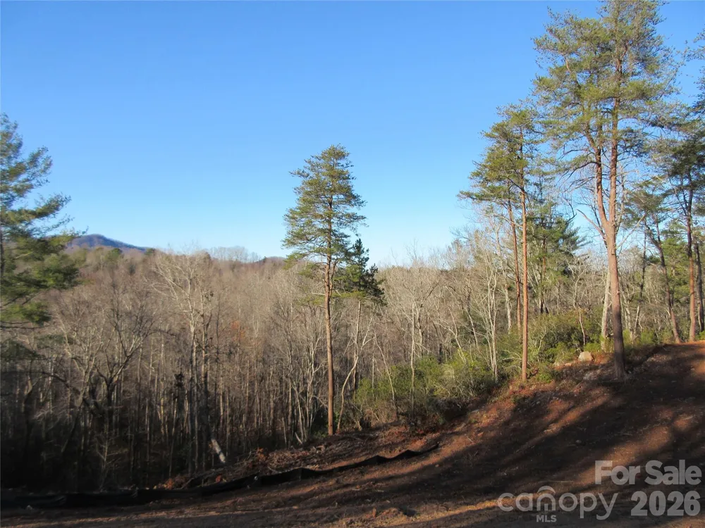0 Levi Road Columbus, NC 28722