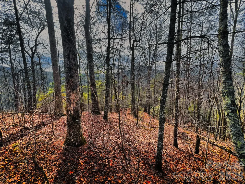 232 Thorncliff Road #82 Marshall, NC 28753
