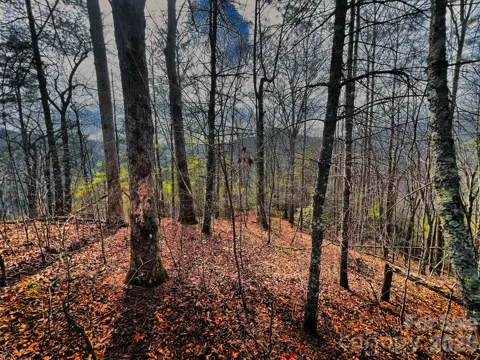 232 Thorncliff Road #82