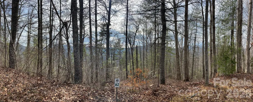 232 Thorncliff Road #82 Marshall, NC 28753