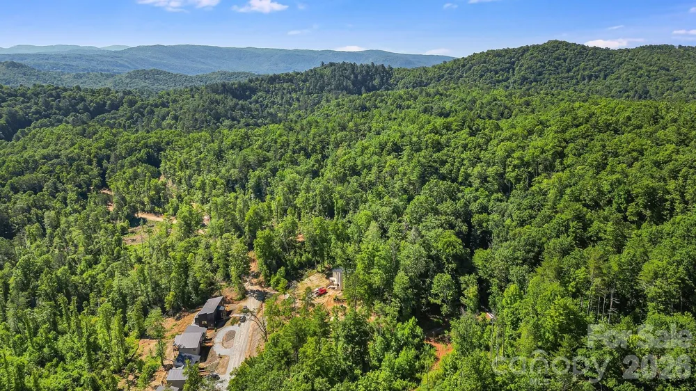 110 South Fork Trail #10 Lake Toxaway, NC 28747