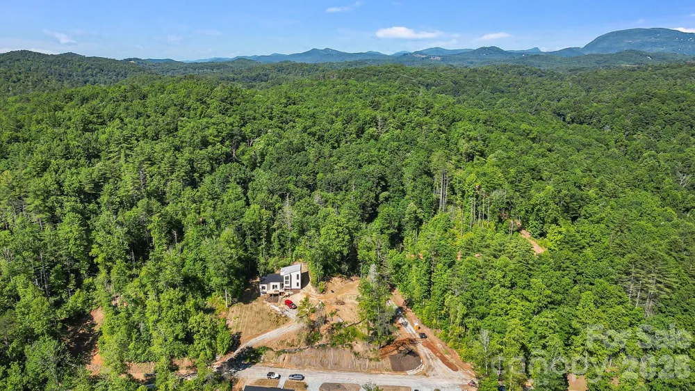 110 South Fork Trail #10 Lake Toxaway, NC 28747