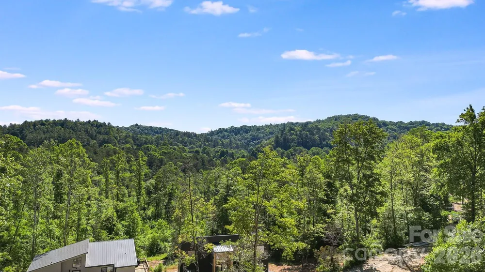 110 South Fork Trail #10 Lake Toxaway, NC 28747