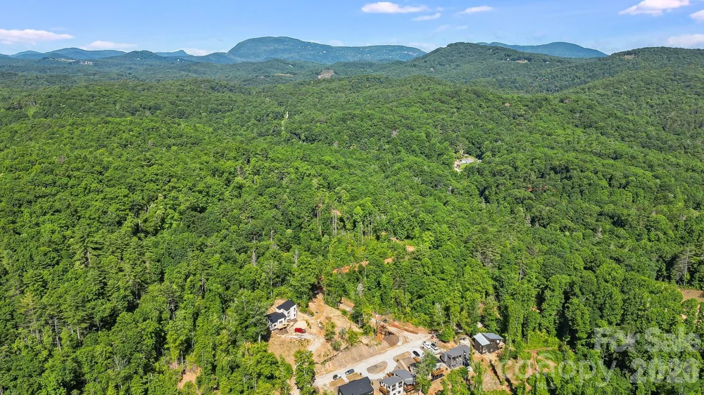 110 South Fork Trail #10 Lake Toxaway, NC 28747