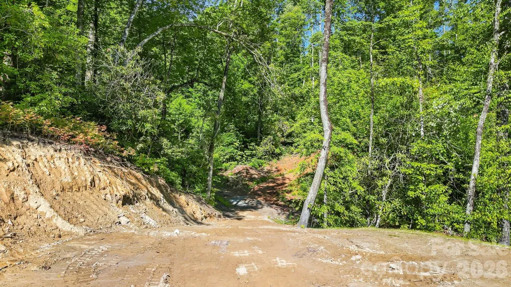 110 South Fork Trail #10 Lake Toxaway, NC 28747